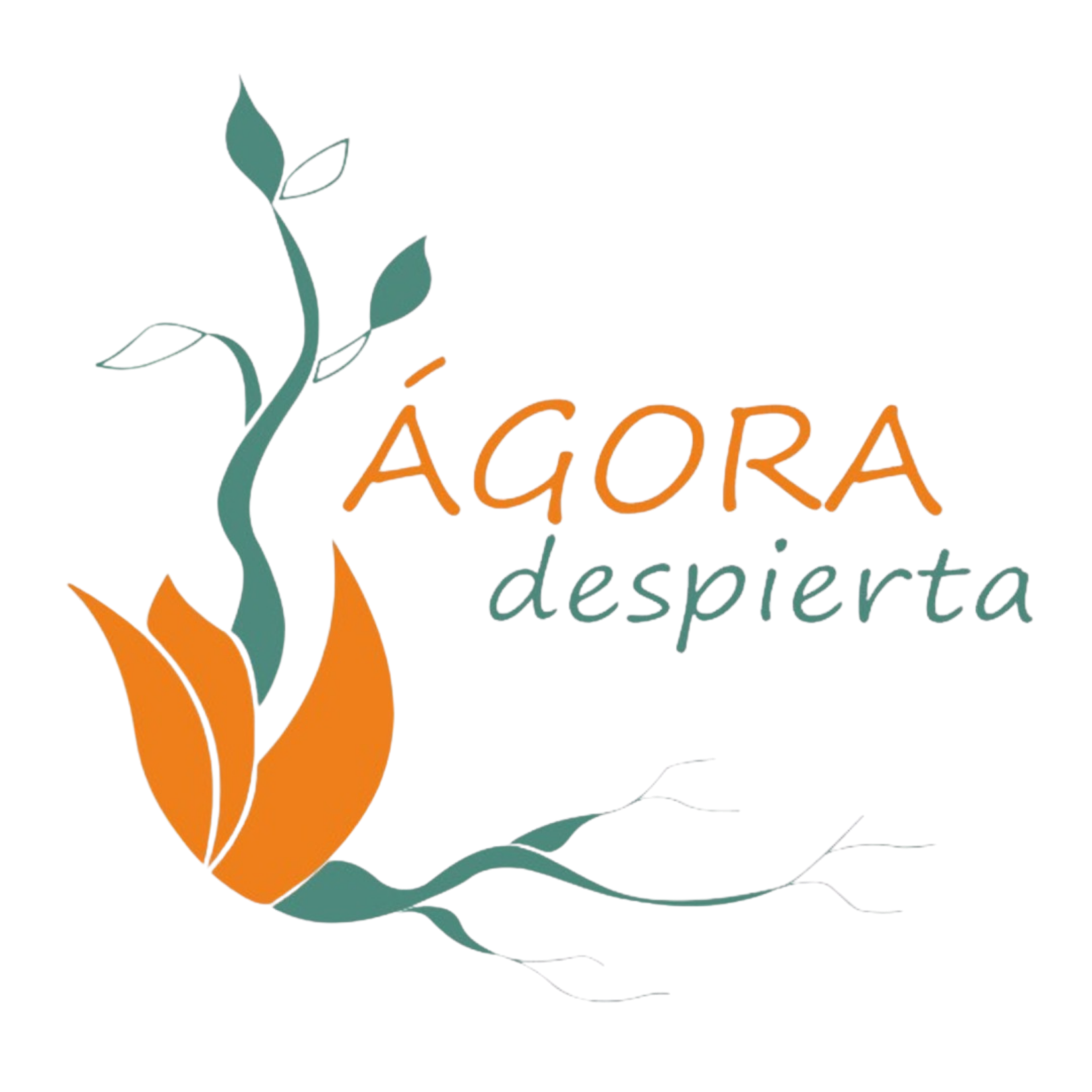 Retiro Handpan (principiantes)